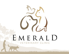 Emerald Vet Logo Development